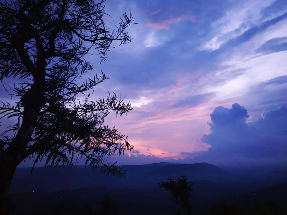 Peakaavu Cottages Idukki Ngoại thất bức ảnh