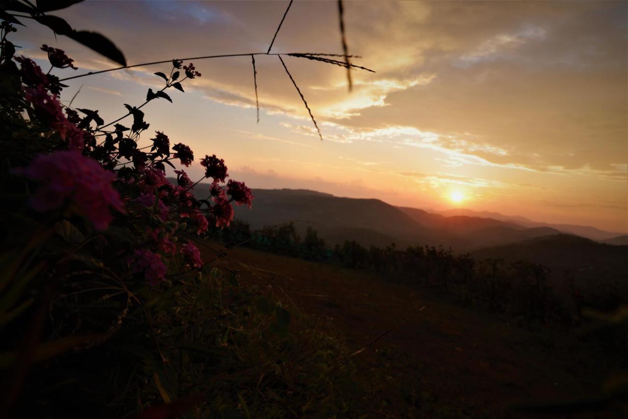 Peakaavu Cottages Idukki Ngoại thất bức ảnh